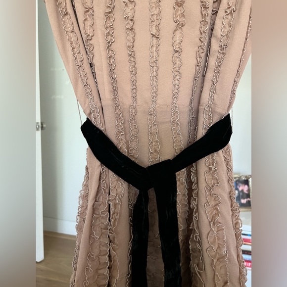 Red Valentino Ruffle Dress in Light Pink - Picture 4 of 11